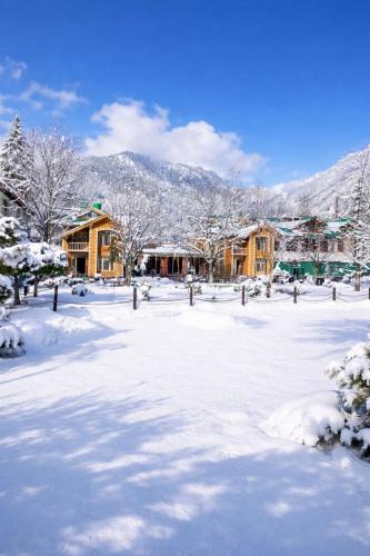 Pahalgam Hotel | Lidder view resort