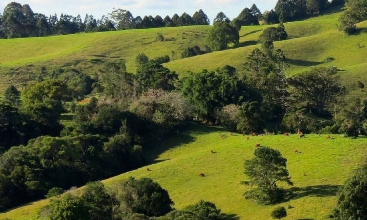 Montville Bed & Breakfast | Luxury Accommodation - Harris