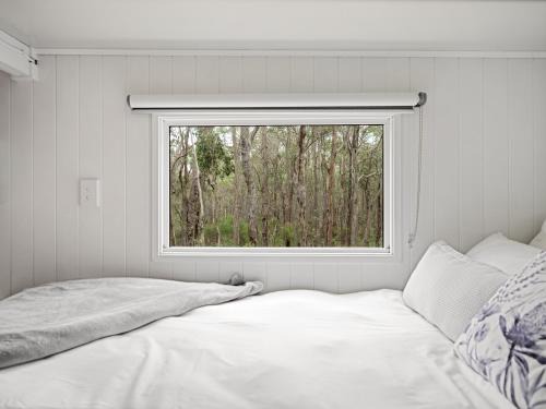 Rosa Glen Apartment | Luxury Tiny Homes in the Forest