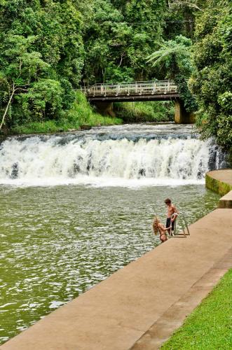 Upper Barron Bed & Breakfast | Malanda Falls Retreat