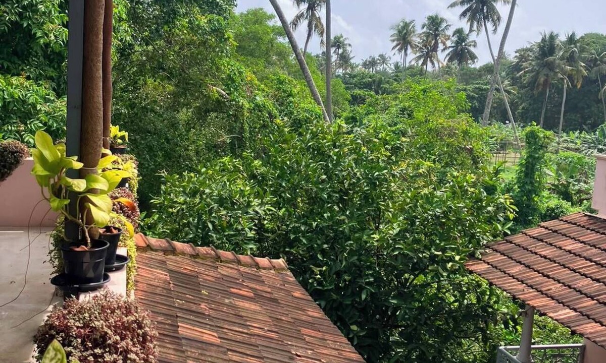 Mararikulam Bed & Breakfast | Mandaram villas