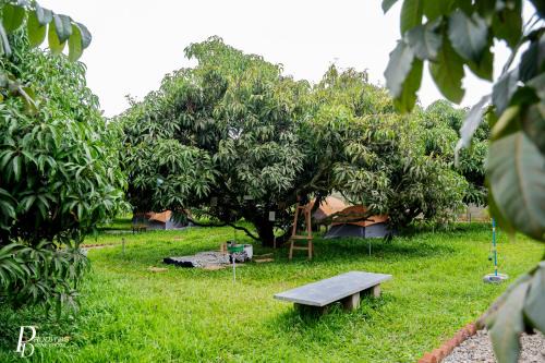 Denkanikota Other | Mango Trails - Farm Stay, Camping & Day Outing near Bangalore