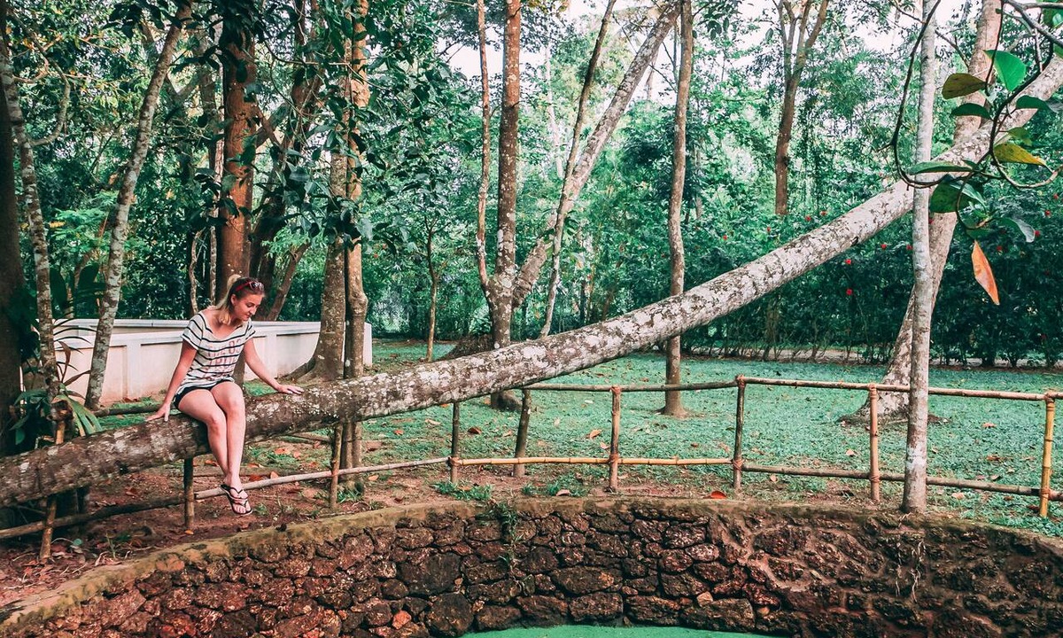 Mararikulam Resort | Marari Beach - Cgh Earth