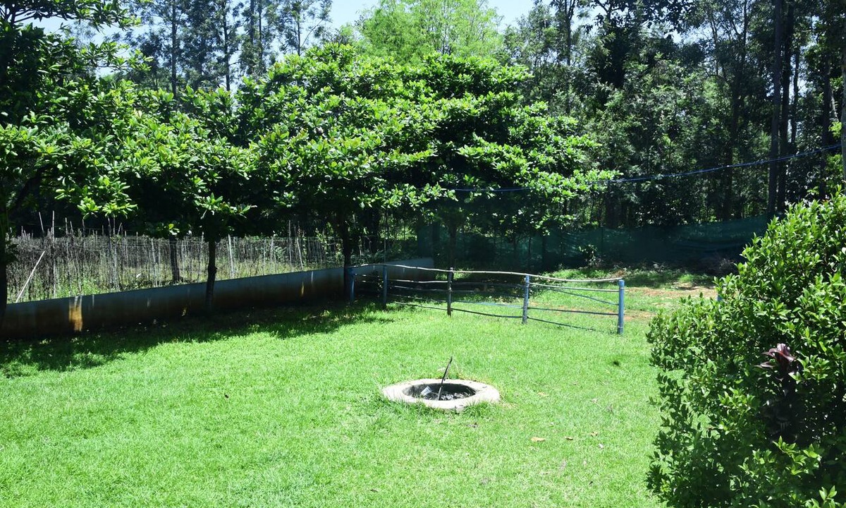 Chikkamagaluru House | Misty Green