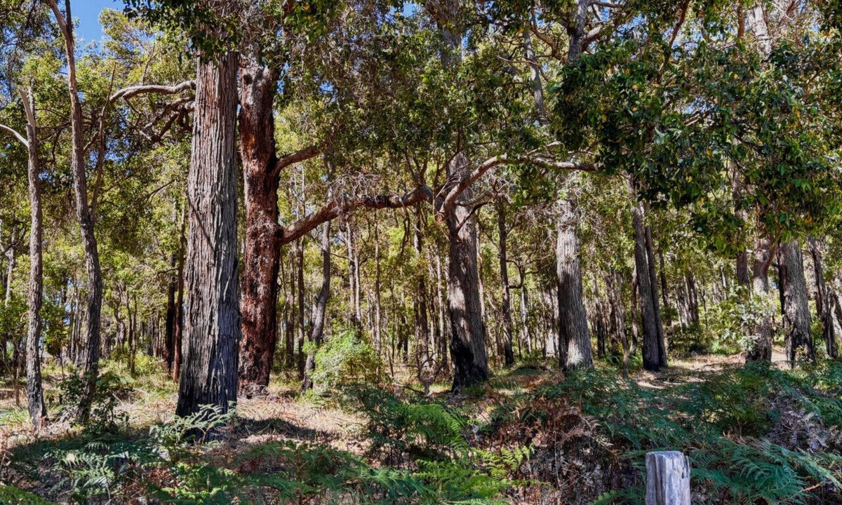 Nannup House | Modern Luxe Bush Retreat | 3BR Near Trails