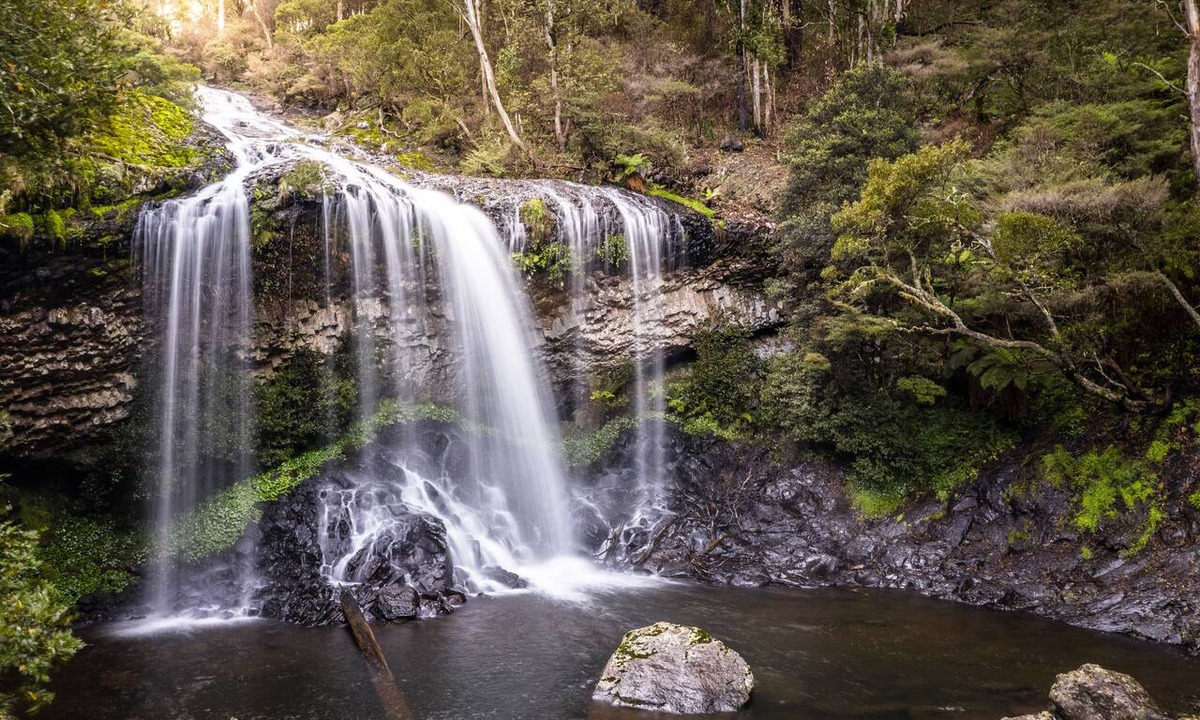 Ebor Cottage | Moffat Falls Cottage