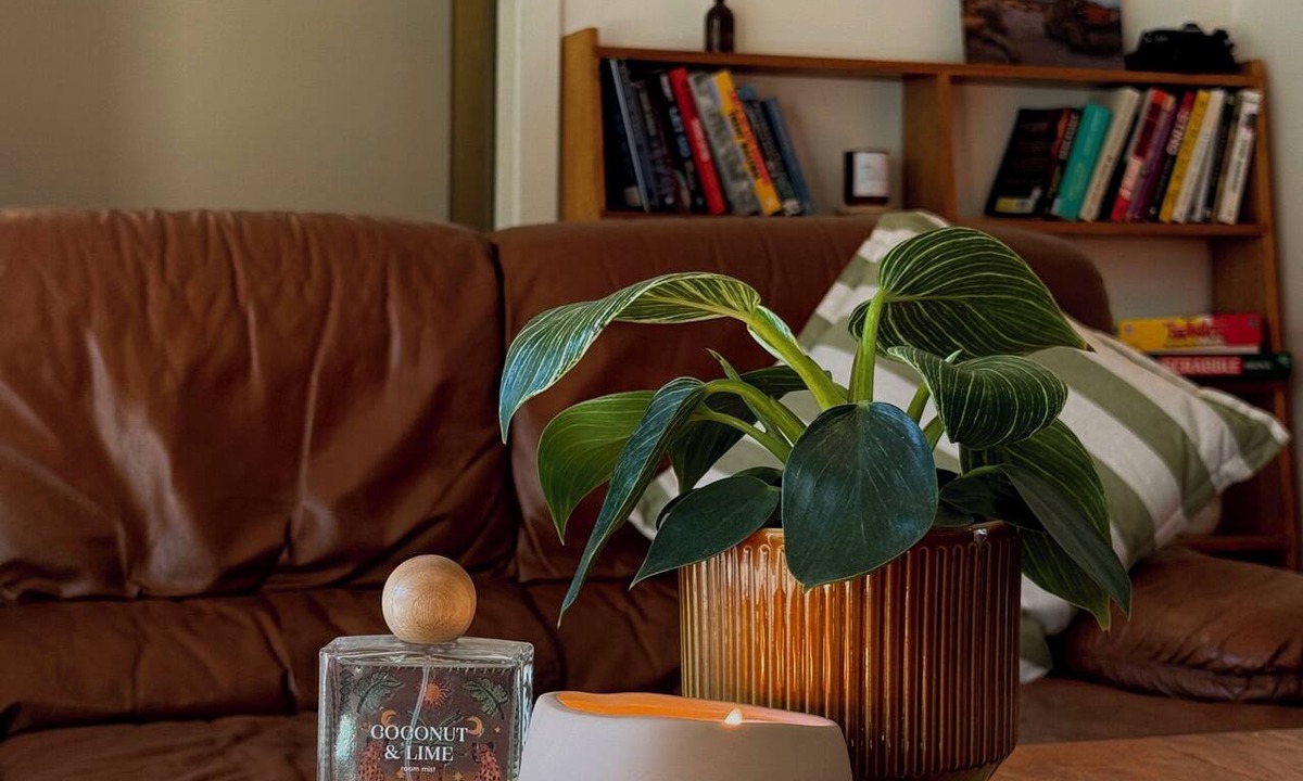Mansfield House | Monkey Gully Retreat 2 minutes from town and 45 mins from Mount buller