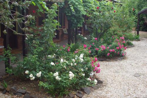 Maldon Hotel | Motel Maldon