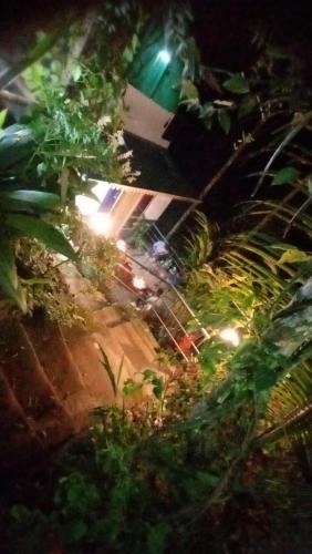 Devikolam Bed & Breakfast | Munnar Plantation Home stay Tea Drops