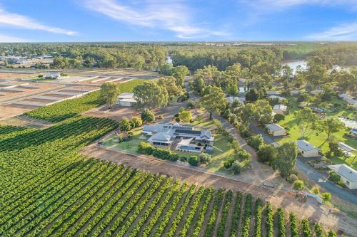 Moama House | Nepeta Cataria Estate - Echuca Holiday Homes