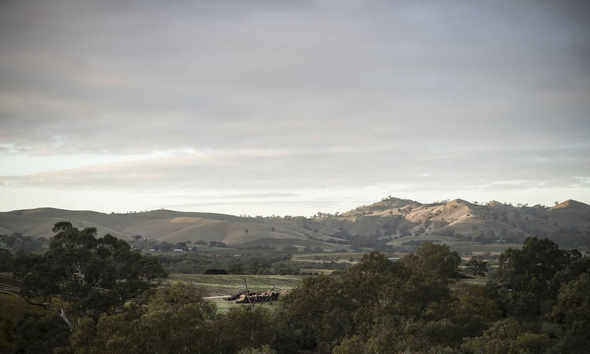 Rowland Flat Hotel | Novotel Barossa Valley Resort
