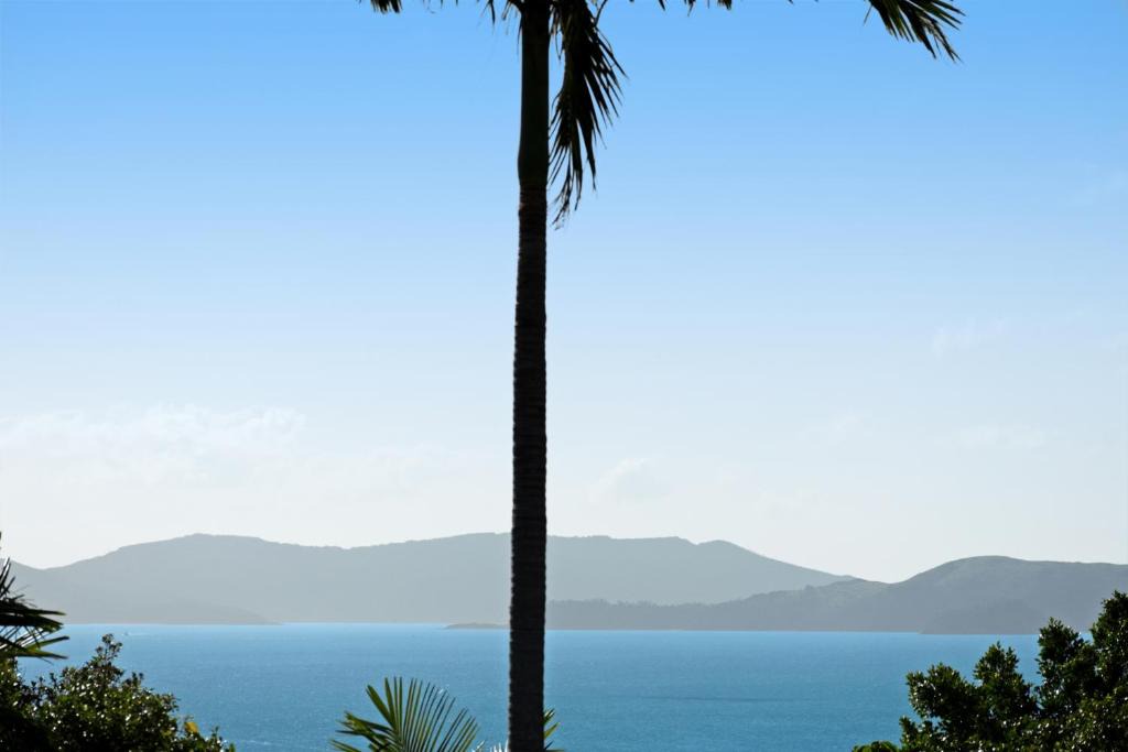 Hamilton Island Apartment | Oasis 25 Hamilton Island