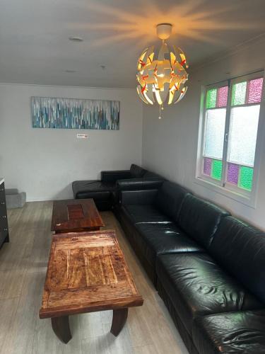Hamilton Hostel | Palm Hamilton Backpacker