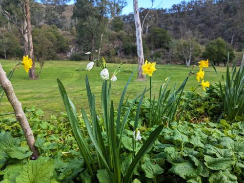 Dargo House | Parsons Flat Glamping