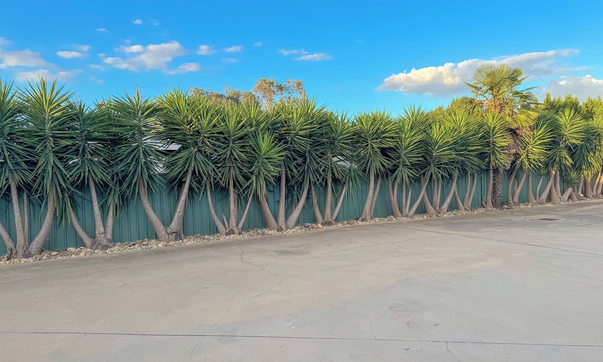 Echuca Hotel | Pastoral Hotel Motel Echuca CBD
