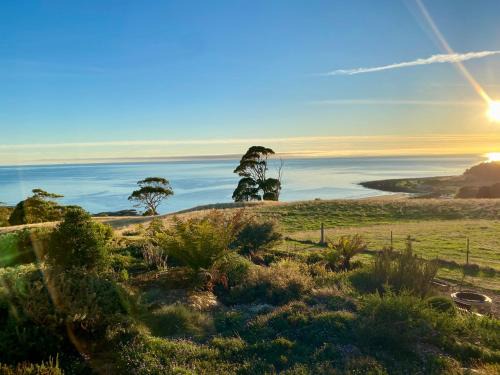 Central Coast Council House | Penguin Seaside Farm