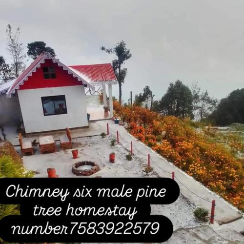 Kurseong House | Pine Tree Homestay