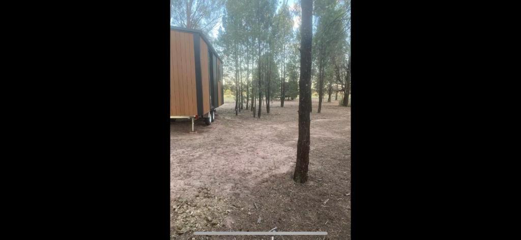 Bohena Creek House | plain Bush