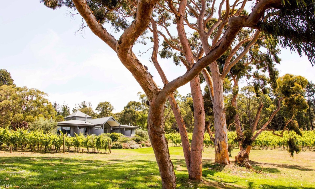 Red Hill Villa | Polperro Winery Villas - Villa 4