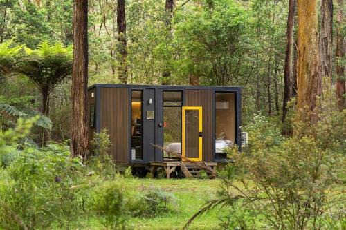 Toolangi House | Quantum Field by Tiny Away