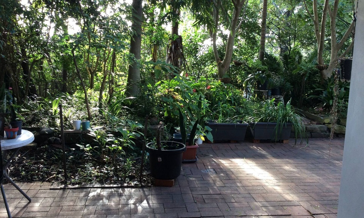 Mangerton House | Quiet leafy suburb near city centre