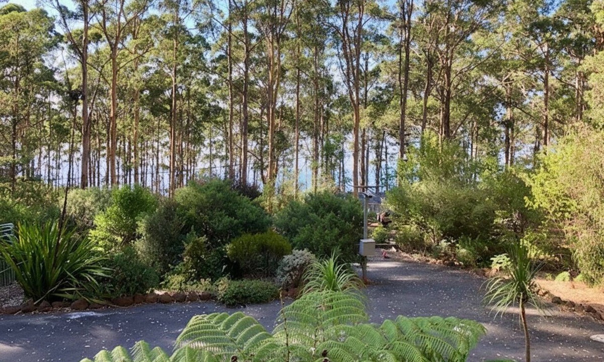 Denmark House | Raylea Retreat - Rest and Relax surrounded by nature - fur baby friendly!