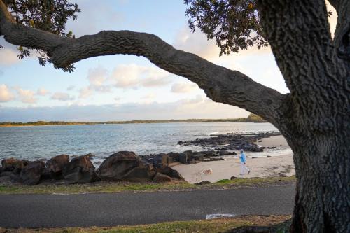 East Ballina Resort | Reflections Shaws Bay - Holiday Park
