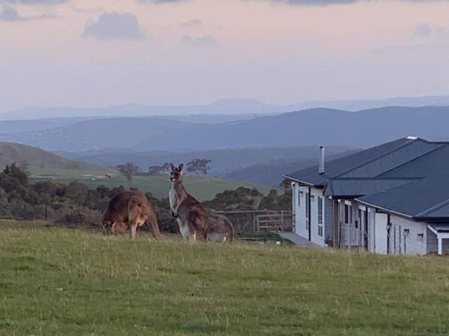 Bullengarook Bed & Breakfast | Rooks Edge