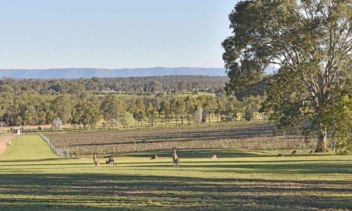 Lovedale House | Sandalyn Estate Hunter Valley