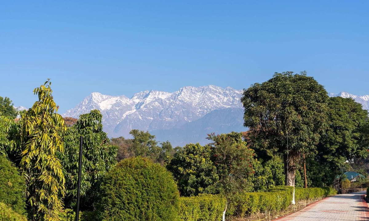 Gopalpur Resort | Seclude Tea Estate Palampur