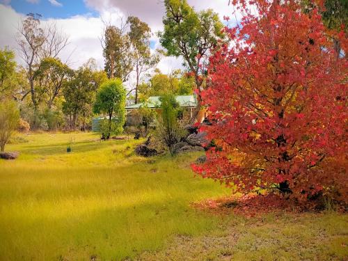 Glen Aplin Villa | Severn River Cottages