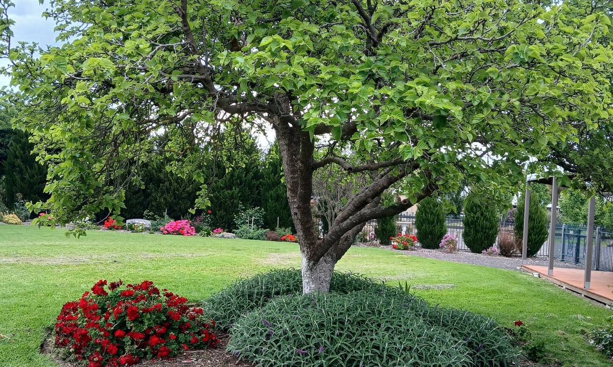 Bannockburn House | Sherry house - 1 min drive from Bannockburn