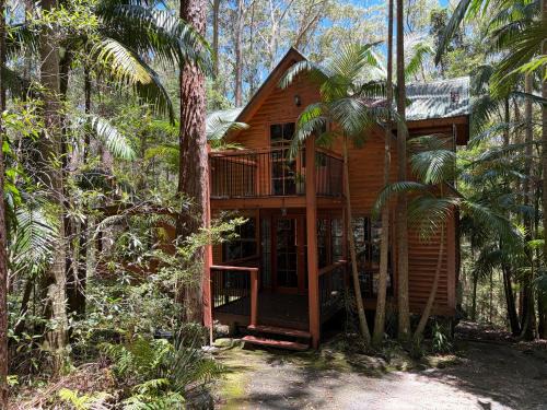 Springbrook Cabin | Springbrook Mountain Chalets