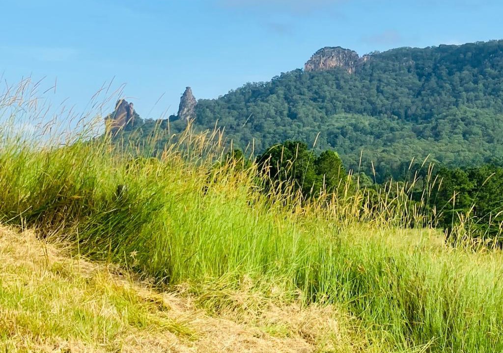 Nimbin House | Stoney Chute Eco-Retreat