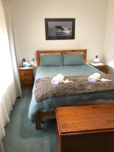 Mount Gambier House | Strangways Villa