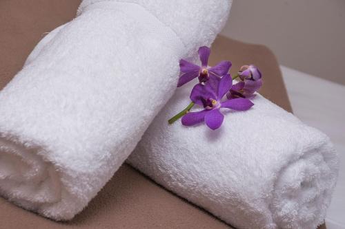Miami Hotel | Sunshine Beach Resort