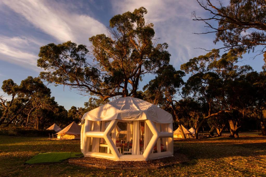 Comaum Other | Taj Mahal 2 upgraded Hex bubble