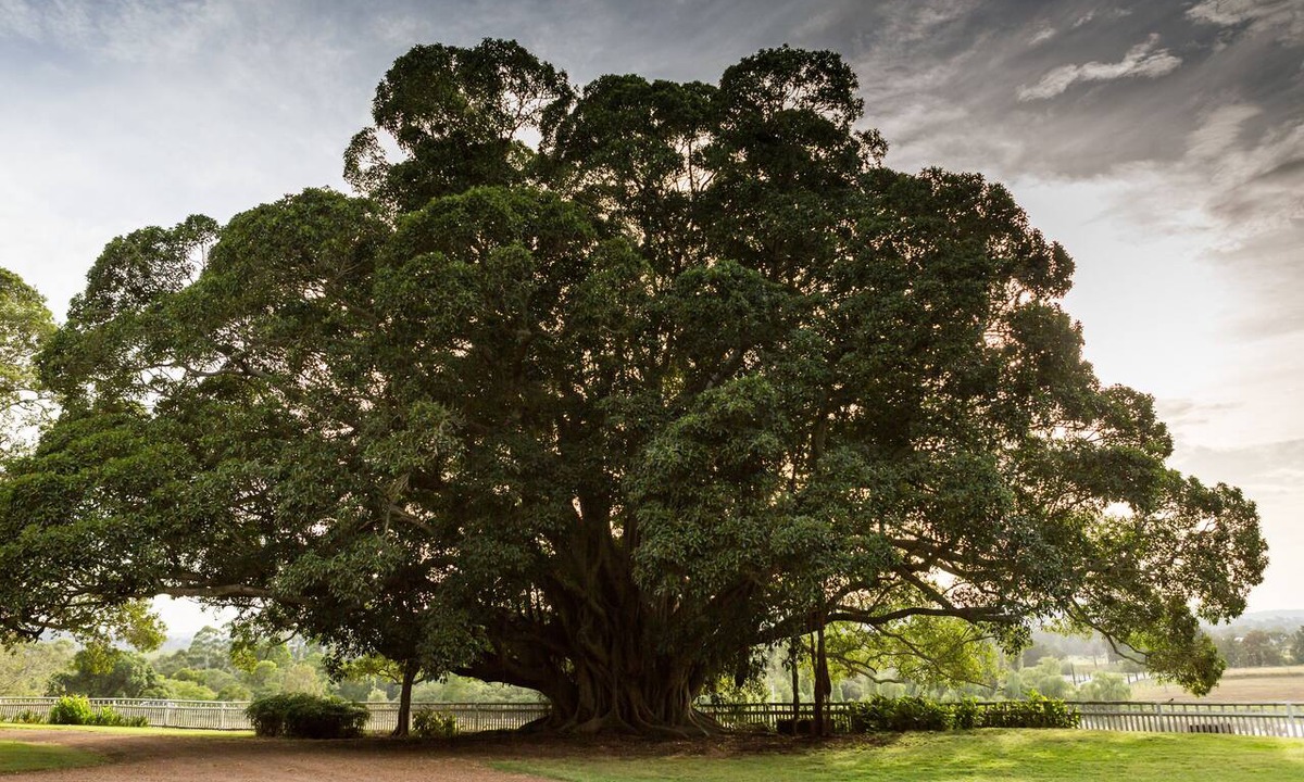 Paterson Bed & Breakfast | The Barracks Tocal