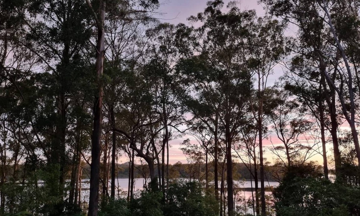 Landsborough House | 'The Hideaway' Sunshine Coast Hinterland