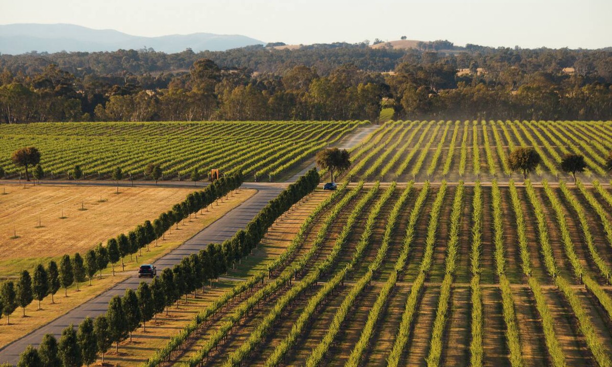 Mitchellstown Hotel | The Mitchelton Hotel Nagambie