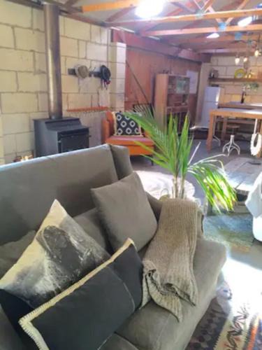 Waterhouse House | Trader Jack's