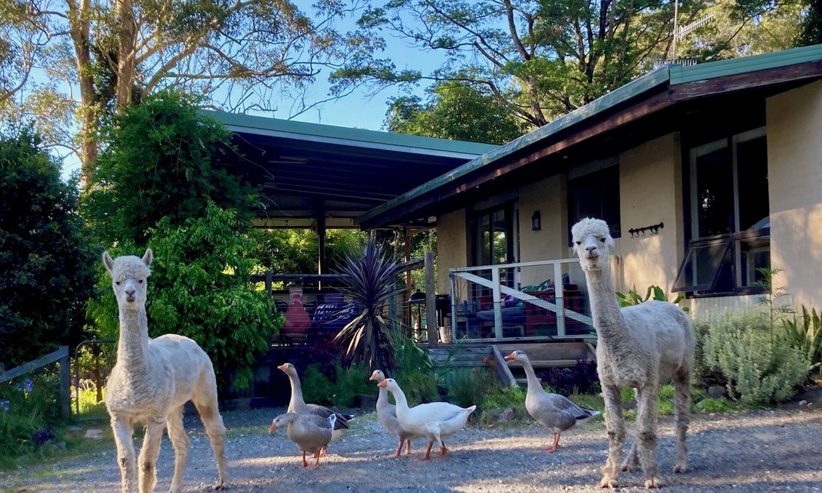 Termeil House | Tranquil farmhouse with sea view, dog friendly