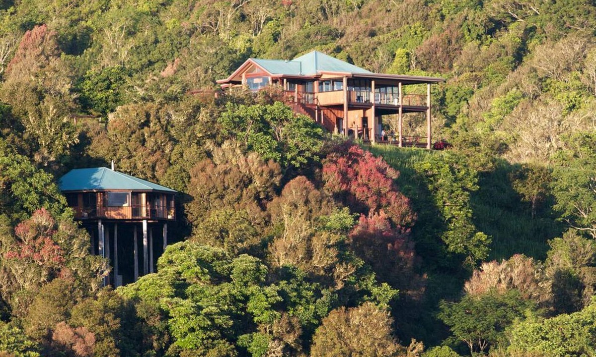 Peeramon Cabin | Tranquil Jungle Cabin for a Weekend Getaway in the Queensland Rainforest