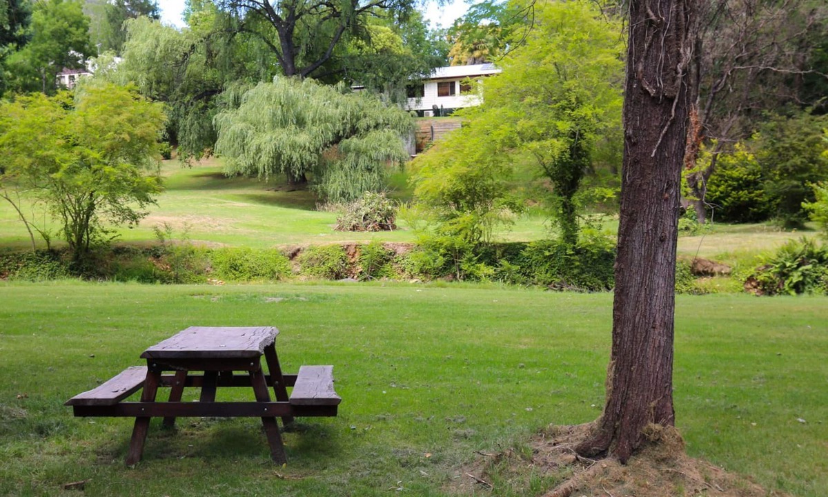 Wandiligong House | Tree View Cottage - Tranquil on the creek