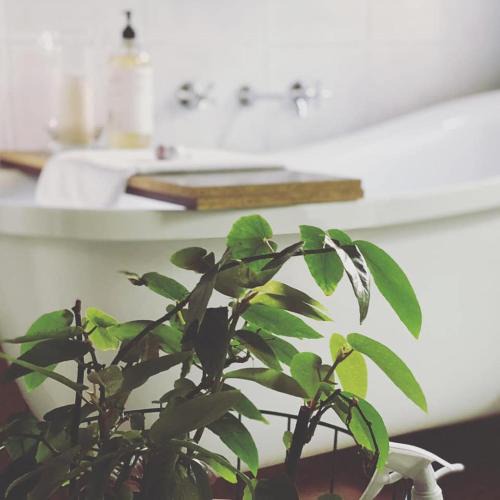 Echuca Apartment | Treehouse Hideouts - Ground Level - Heygarth House Townhouse - Port of Echuca