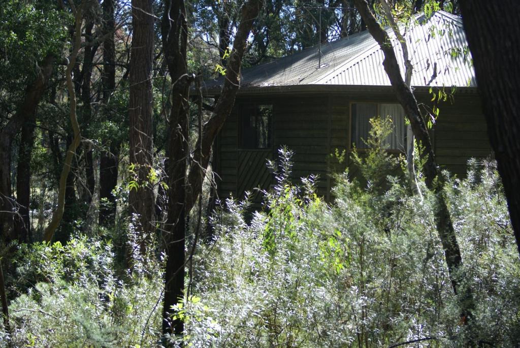 Fitzroy Falls House | Twin Falls Bush Cottages