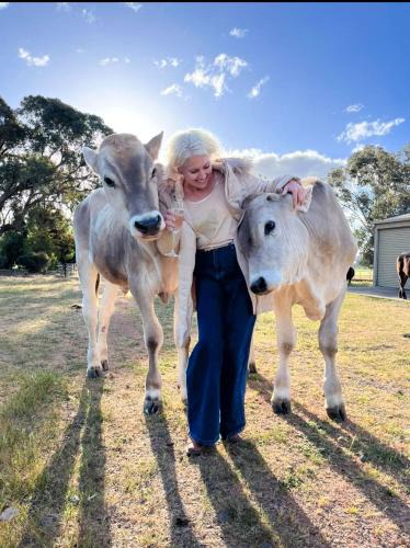 Boweya House | Victorian Farm stay Springbank
