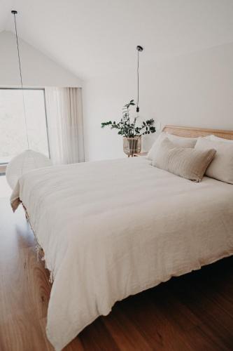Albany Apartment | View Street Studios - Yarri
