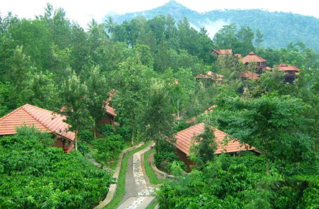Kolagappara Resort | Wayanad Heritage Pool Resort