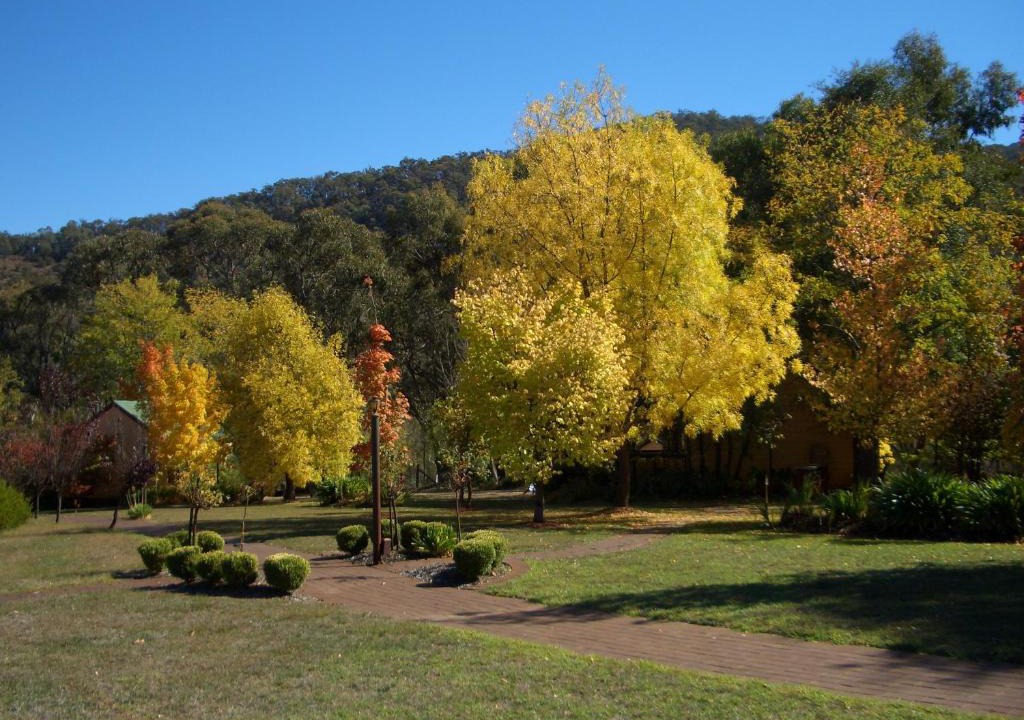 Macs Cove Apartment | Willowlake Cottages